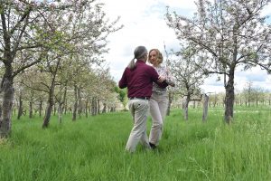Blühender Tango beim Mai-Tanz der Apfelbäume